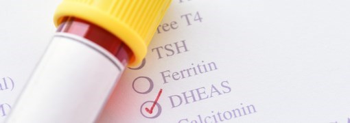 בדיקת Dehydroepiandrosterone Sulfate - DHEAS - תמונה